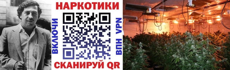Наркотические вещества Ковров ГАШИШ  КОКАИН  АМФЕТАМИН  МЕТАМФЕТАМИН  Codein  A PVP  Конопля  Мефедрон 