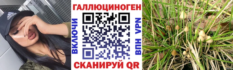 наркотики  Ковров  OMG ONION  Псилоцибиновые грибы Magic Shrooms 