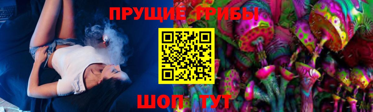 Ковров  Галлюциногенные грибы Cubensis  закладка  Вход с VPN 